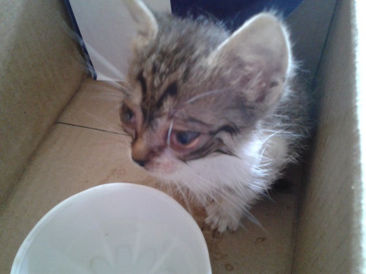 Малышу нужна помощь!