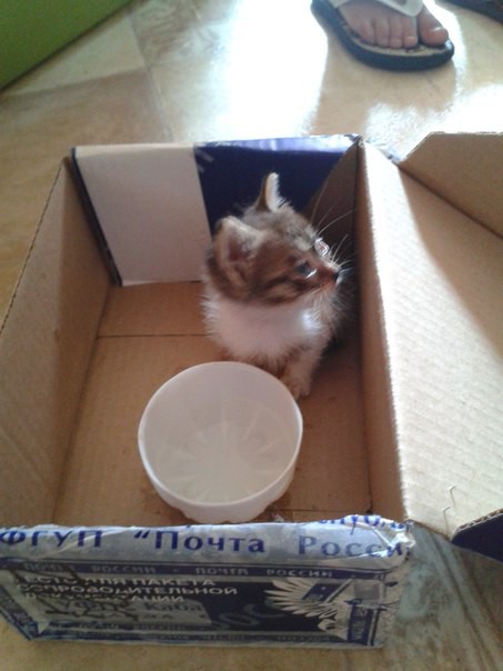 Малышу нужна помощь!