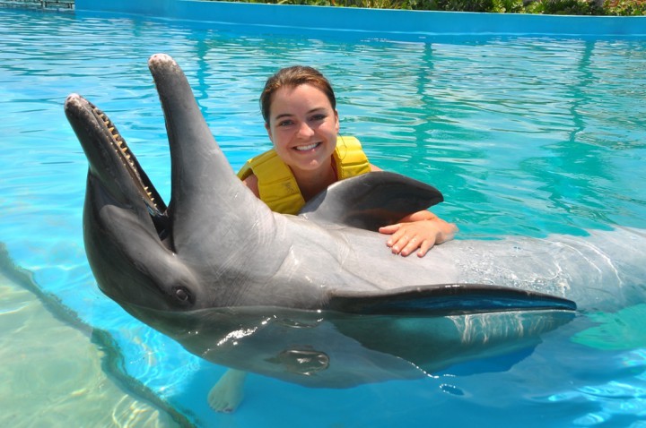 Тренер на день дельфинов