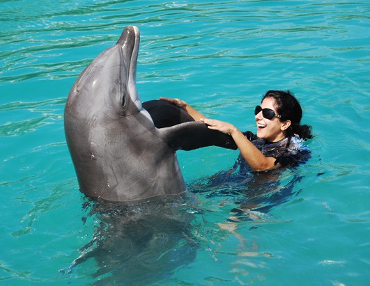Тренер на день дельфинов