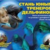 Юный тренер дельфинов