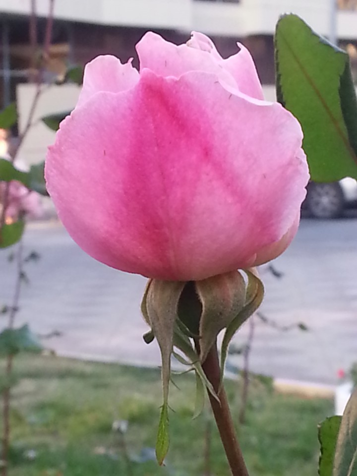 Куплю билет на закрытие параолимпийских игр.