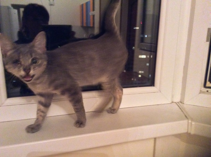 Нюша Кутузова идет дом