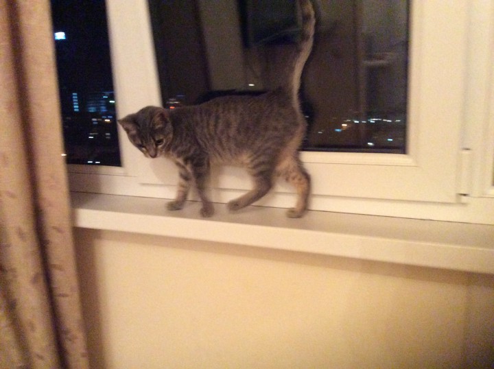 Нюша Кутузова идет дом