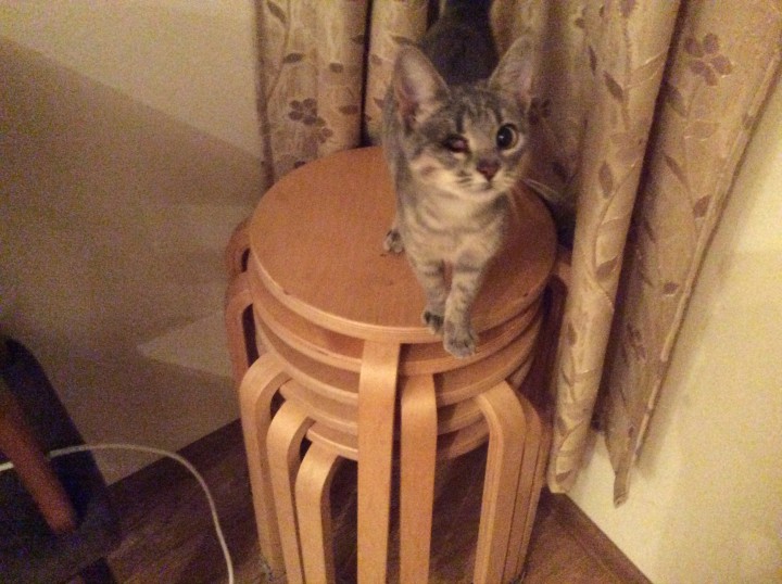 Нюша Кутузова идет дом