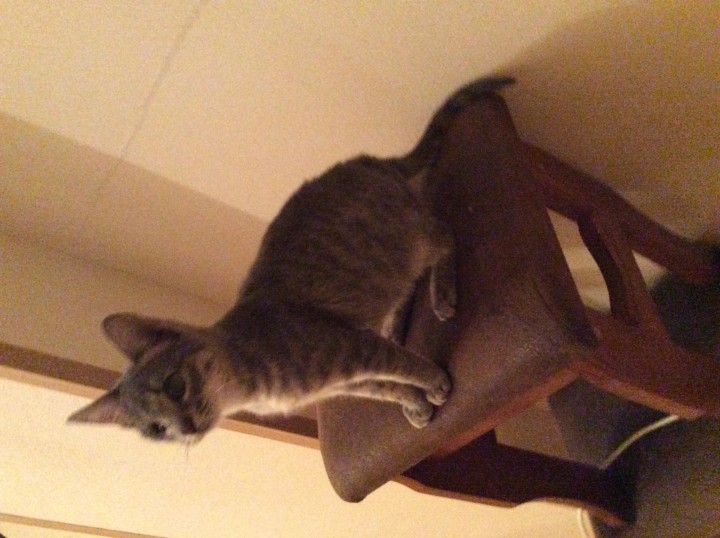 Нюша Кутузова идет дом