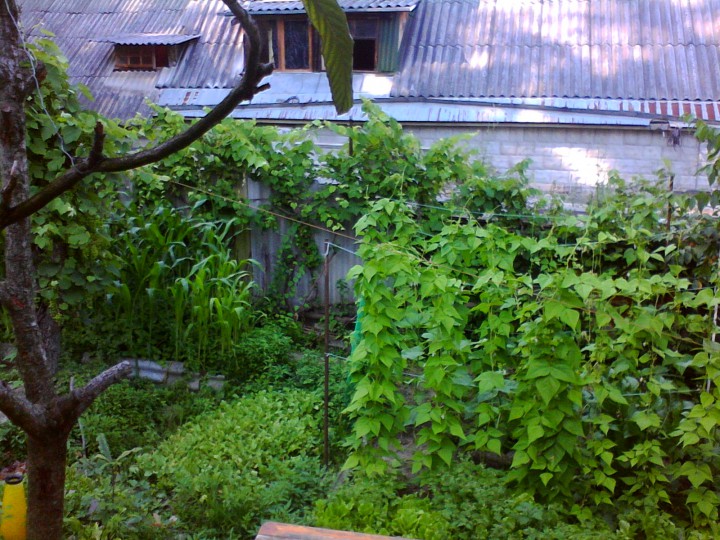 Приму в дар