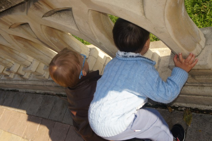 путевка в д/с