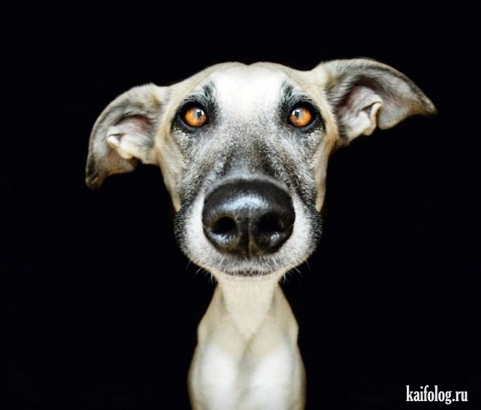 Установка бельевых кронштейнов, кронштейнов под сплит-системы и