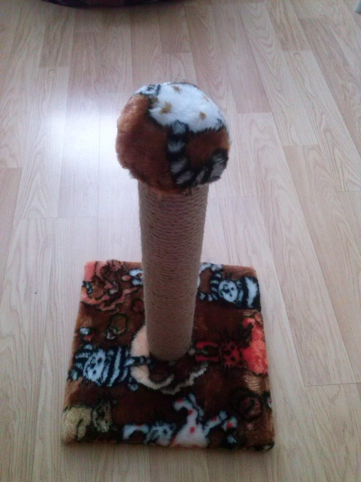 продам когтеточку для кота