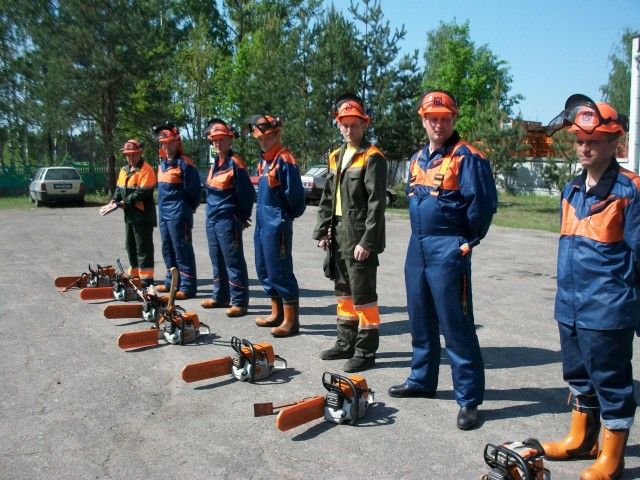 Расчистка участка