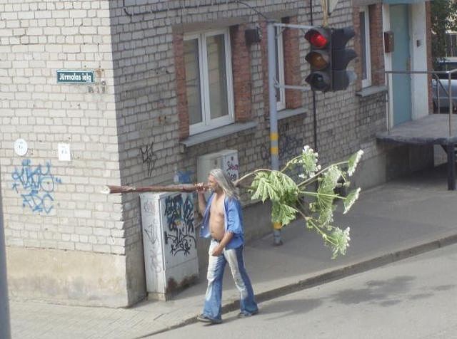 куплю айфон