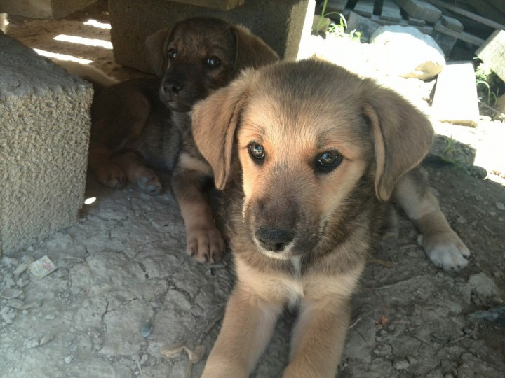 Мы очень хотим домой!!!