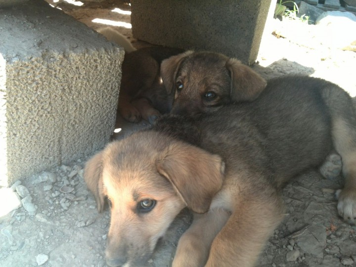 Мы очень хотим домой!!!