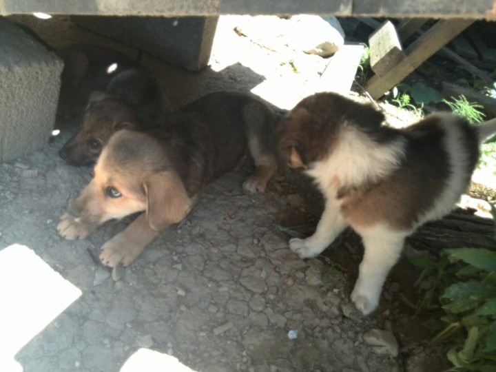 Мы очень хотим домой!!!