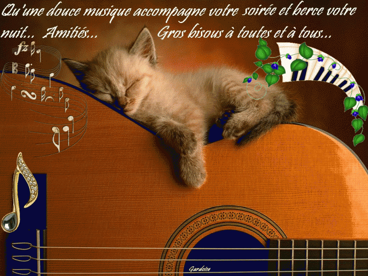 Примем в Дар  или символическую плату Акустическую Гитару. 