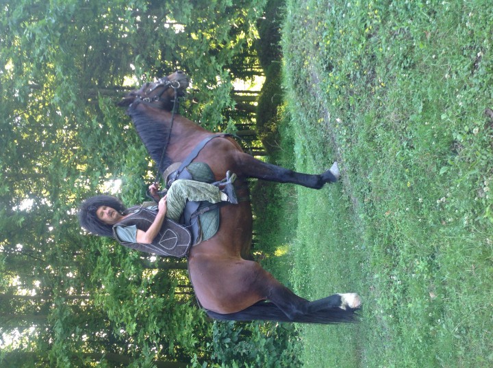 Пропал конь