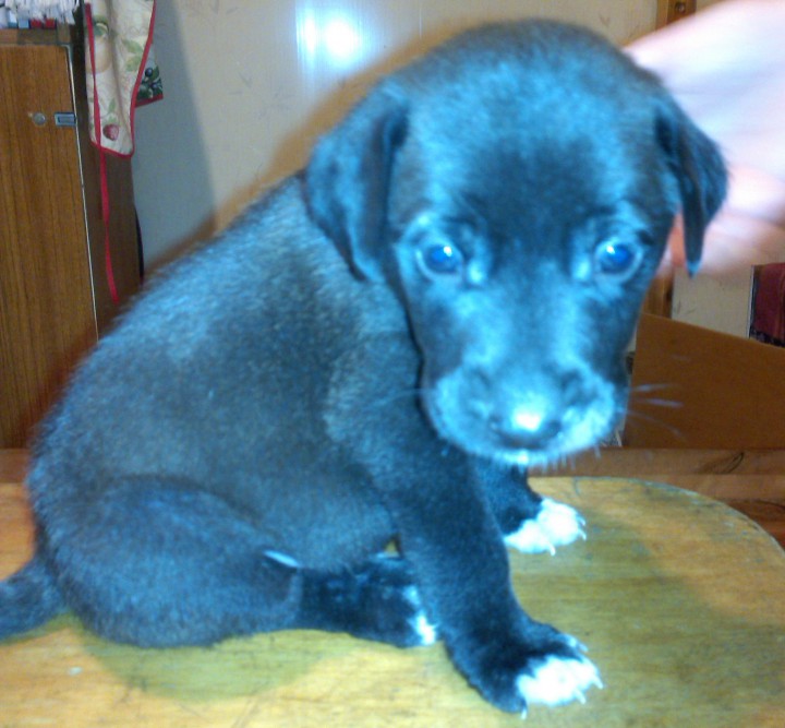 Хочу в добрую семью!!!