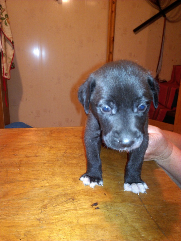 Хочу в добрую семью!!!