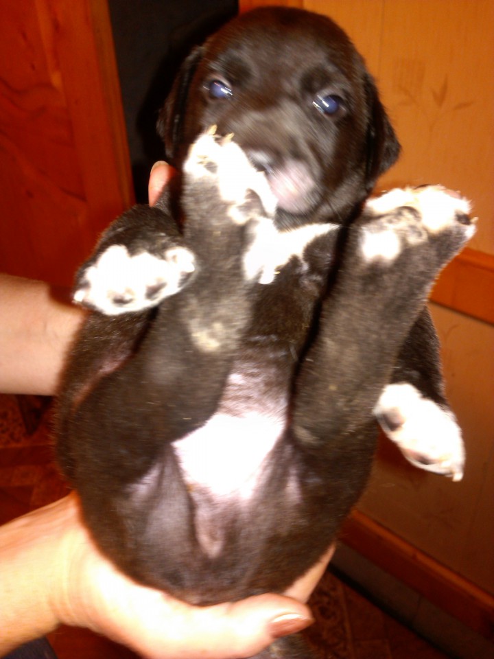 Хочу в добрую семью!!!