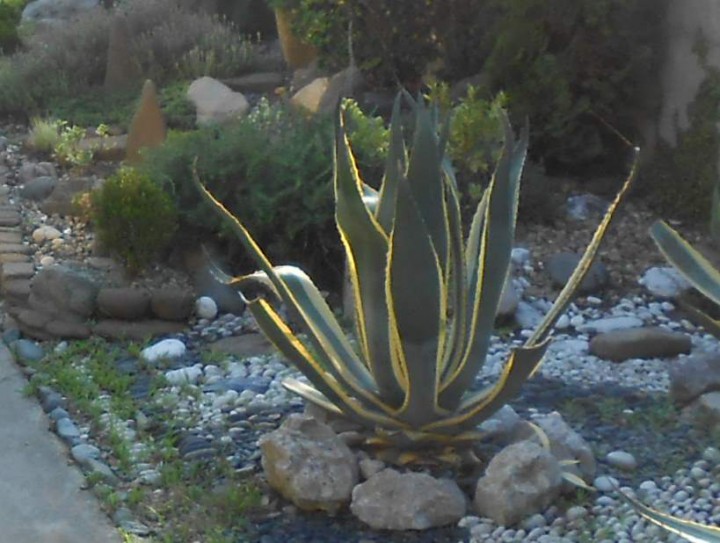 Медицинская косметология.