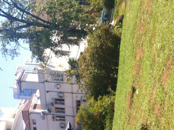 Сниму квартиру центральный или хостинский район