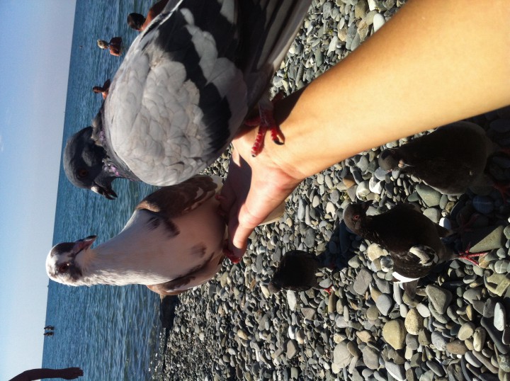 Сниму жилье до 20000.