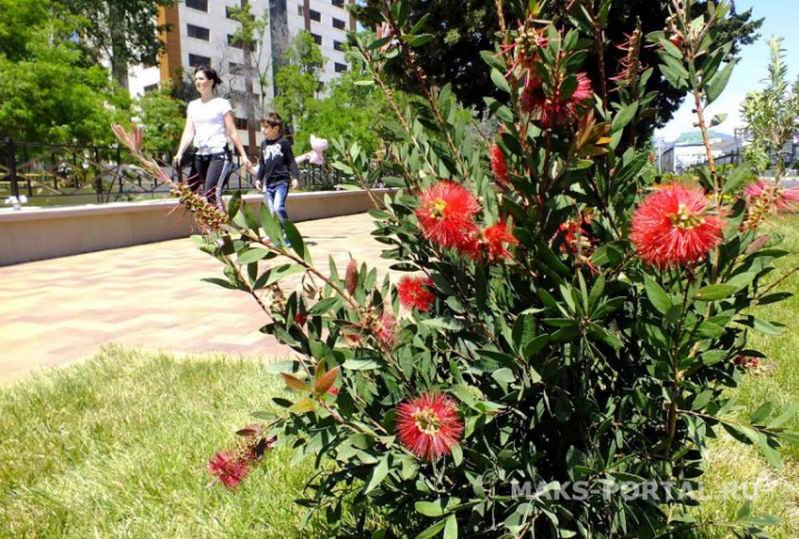 Сдаётся 3 комнатная квартира в центральном районе