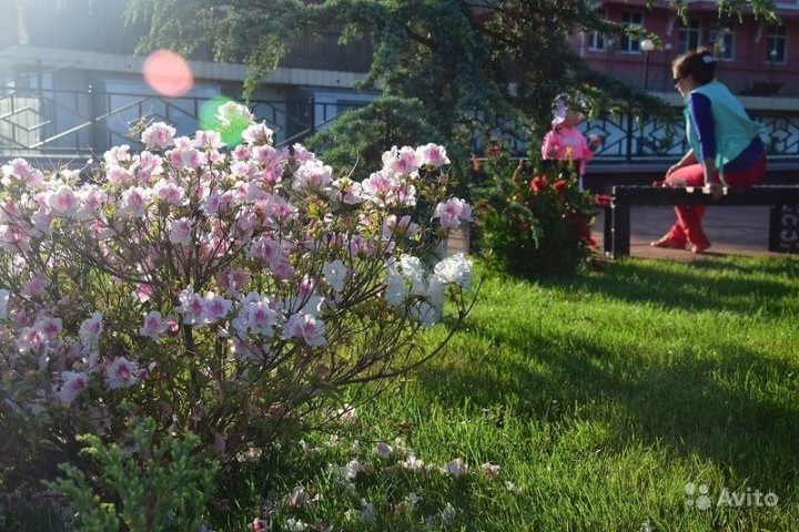 Сдаётся 3 комнатная квартира в центральном районе