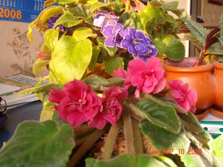 Нуждаемся в специалисте электросетей!