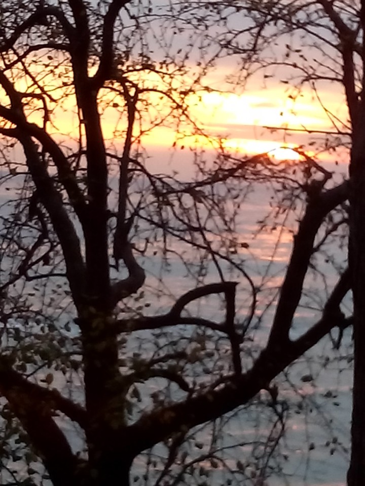 отдам даром