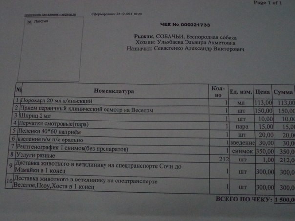 собаку сбила машина,