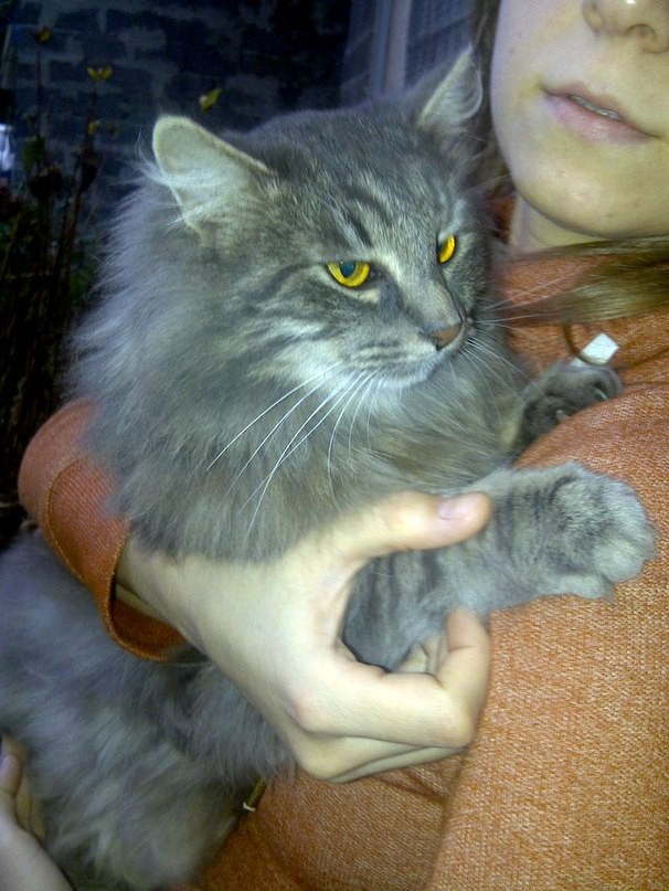 Помогите найти хозяина!!