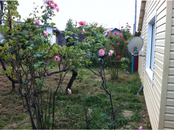 Дом у МОРЯ в Лазаревском р-не г.Сочи