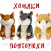 Говорящий хомяк. Бесплатная доставка по г. Сочи