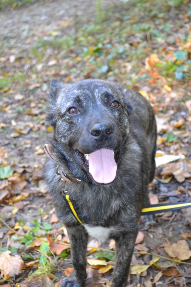 Пропал друг