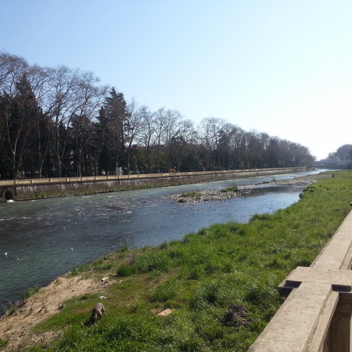Сниму 2 комнатную квартиру в Центральном районе Сочи.Безналичный