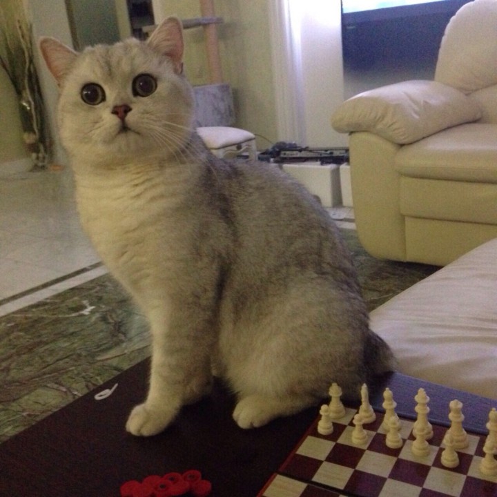 Внимание розыск!!!