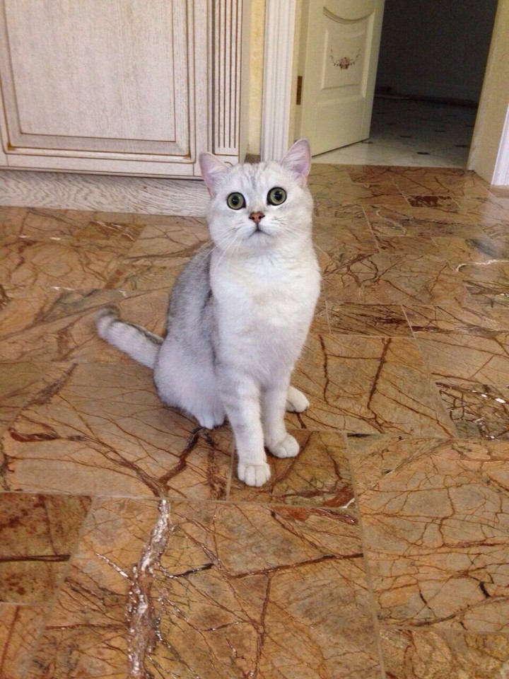 Внимание розыск!!!