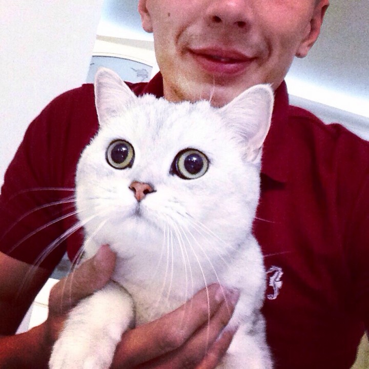 Внимание розыск!!!