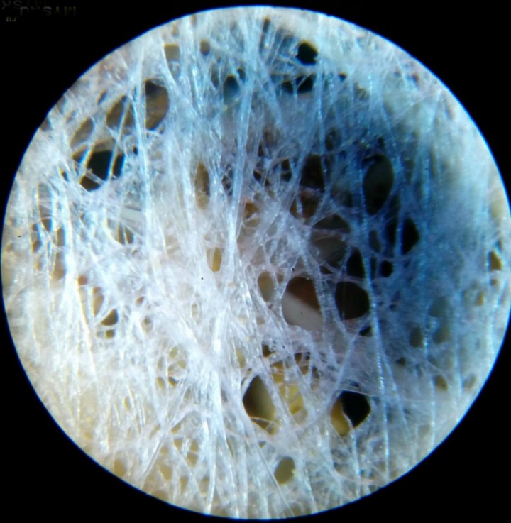 Микроскоп портативный 60x100x