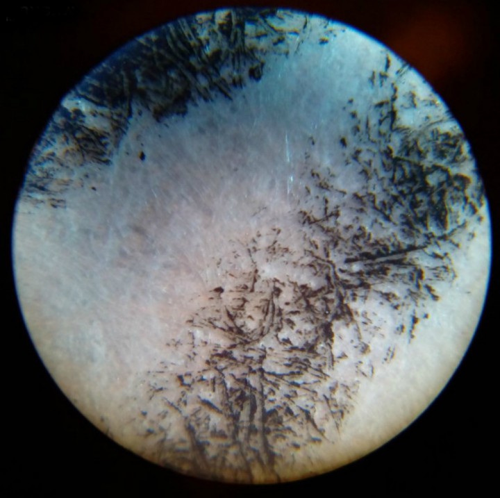 Микроскоп портативный 60x100x