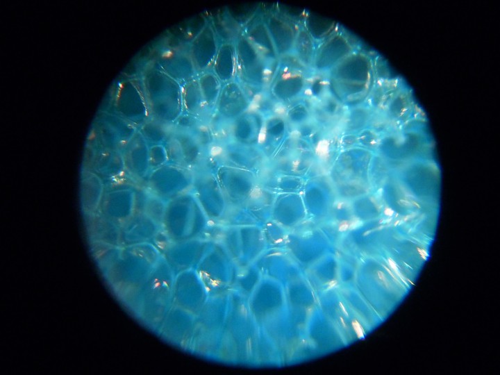 Микроскоп портативный 60x100x