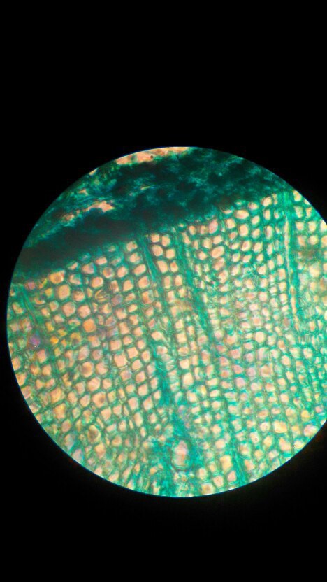 Микроскоп 70х - 400х
