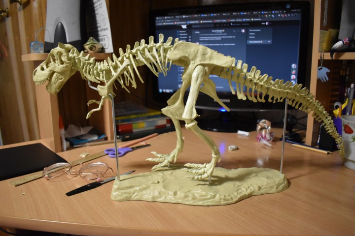 Скелет динозавра модель-конструктор 70см