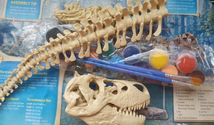 Скелет динозавра модель-конструктор 70см