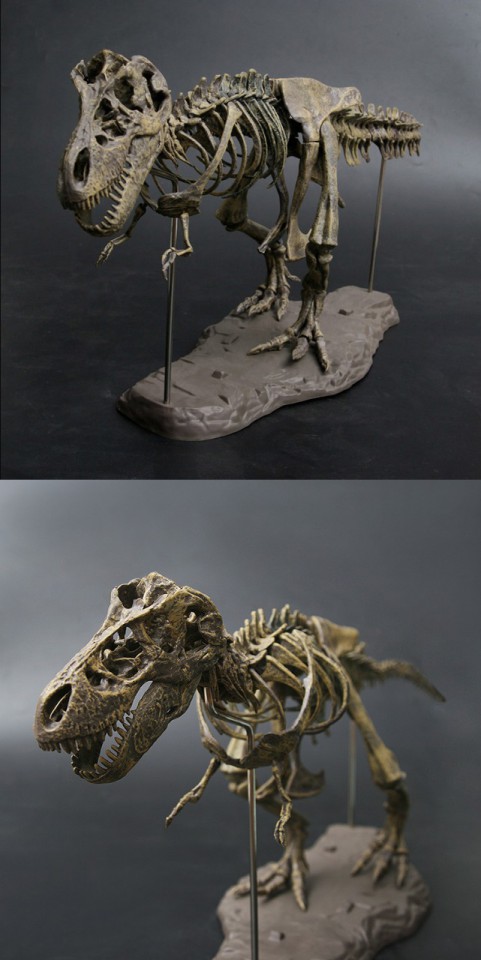 Скелет динозавра модель-конструктор 70см