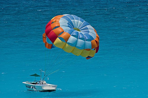 Требуются Агенты