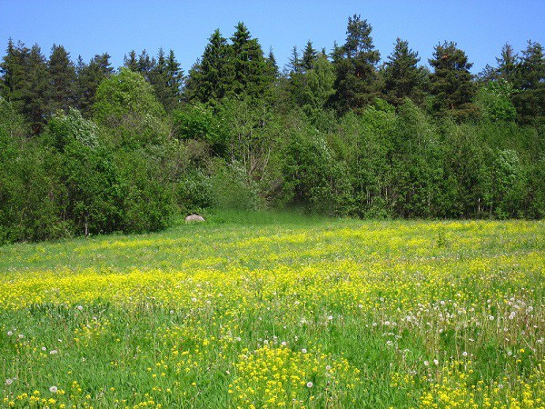 Продается земельный участок 9 соток. Собственник.