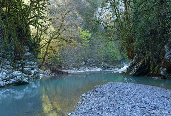 Сдаю квартиру посуточно в центре Хосты